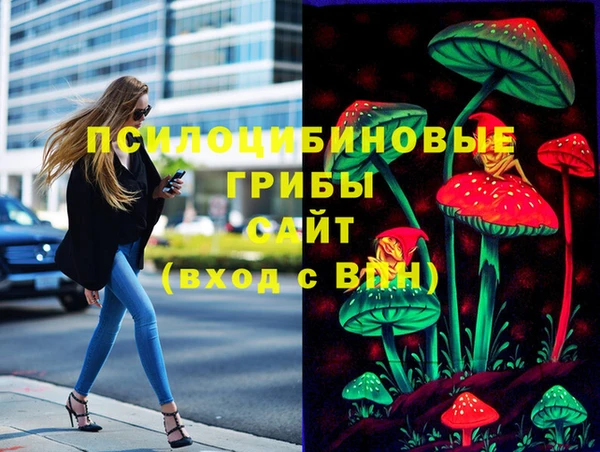 прущая мука Гусь-Хрустальный