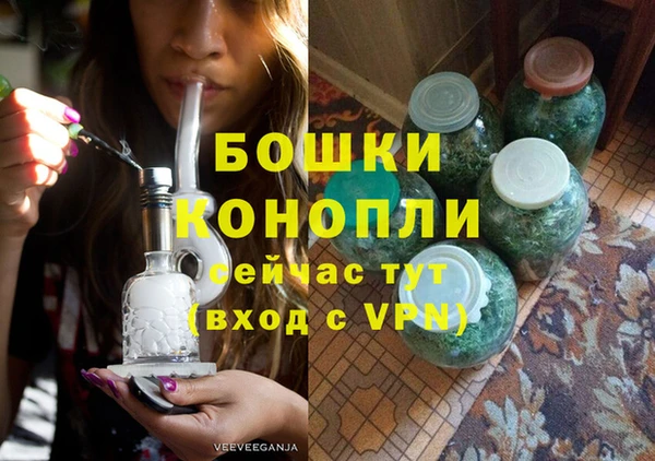 эйфоретик Гусев