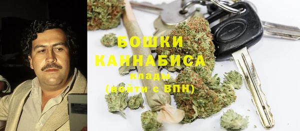 эйфоретик Гусев