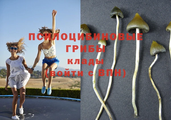 альфа пвп VHQ Гусиноозёрск